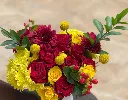 Shangwe Bloom 1.webp