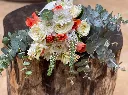 Asubuhi Bloom 2.webp