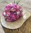 Waridi (rose) bloom 1.webp