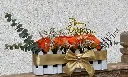 Zawadi(Gift) Bloom 2.webp