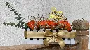 Zawadi(Gift) Bloom 1.webp