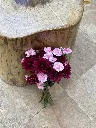Zuri Bloom 1.webp