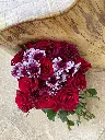 Moyo Wangu (My Heart) Bloom 1.webp