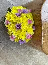 WhatsApp Image 2026-04-29 at 14.23.26 (3).webp