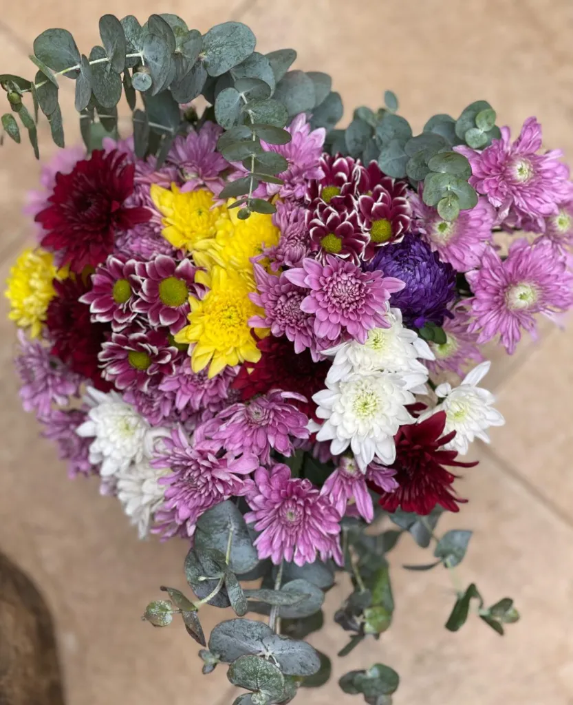 Amani Bloom 1.webp
