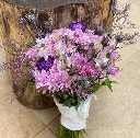 Utulivu Bloom 1.webp