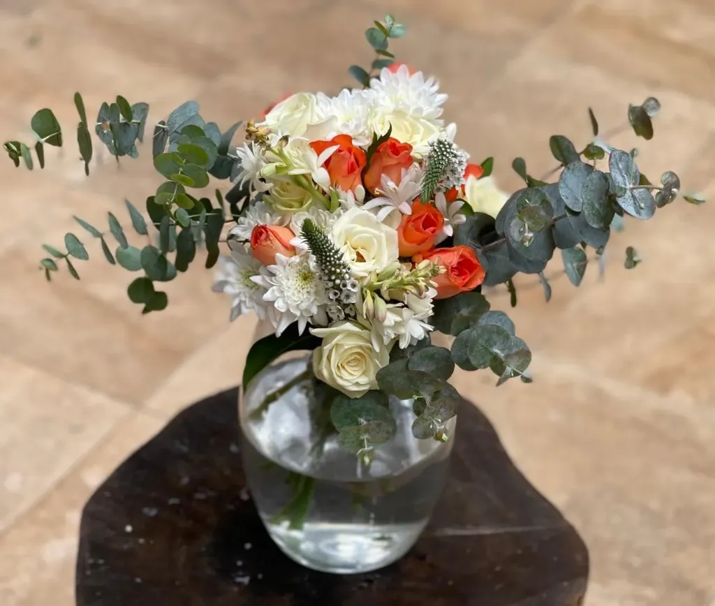 Asubuhi (Morning) Bloom
