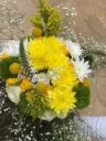 Tumaini (Hope) Bloom
