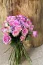 Waridi (Rose) Bloom